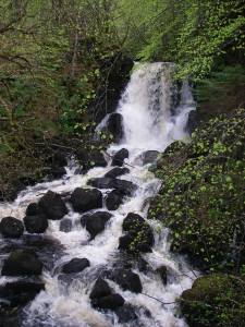 A stroll along the coastal path