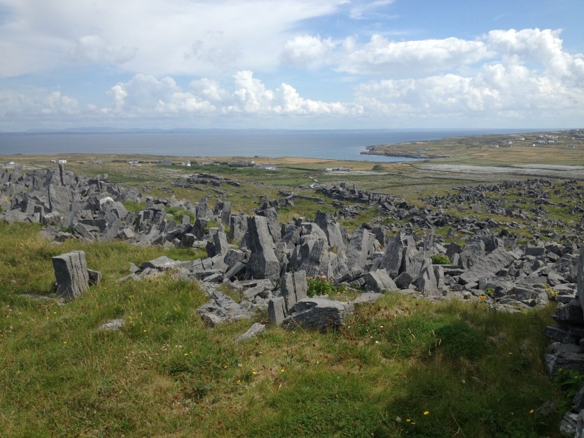 What's left of the ranks of stone pillars - like teeth - that formed the outer defences. Some are stillstanding.