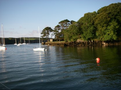 View from the cockpit