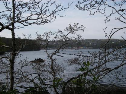View from the path along Oban Bay