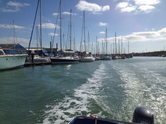 Leaving Spring Fever