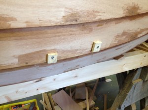 Screws to hold the cleats inside while they were being glued, using temporary wooden washers to protect the planks.