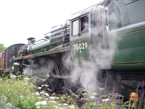 The Moors Express at Whitby