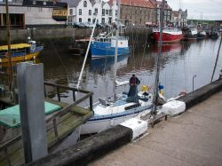 Pepper tucked in behind the junk