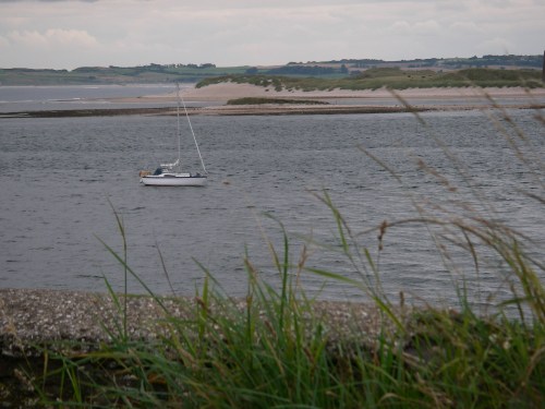 Pepper in the anchorage, Holy Island