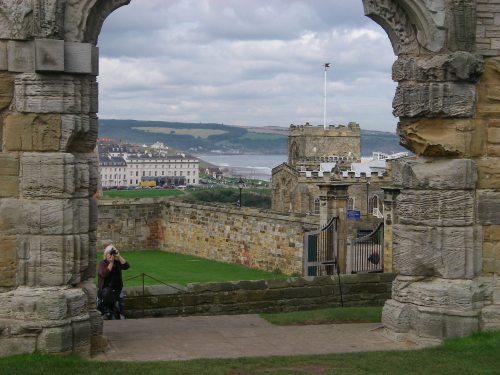 Whitby from the Abbey